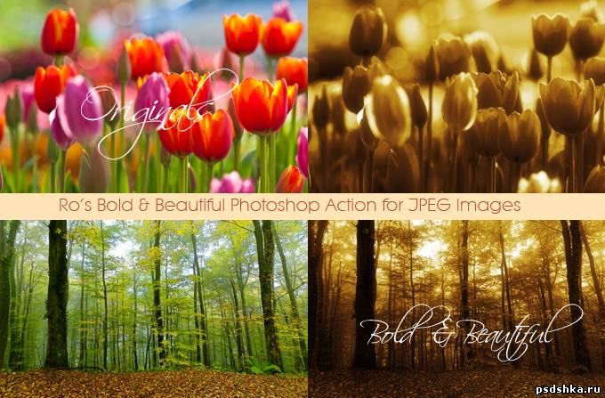Actions - Жирные Красивые Ro-фотоэффекты