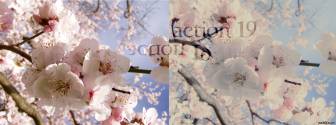 Стили и градиенты - Photo Effects Action 19